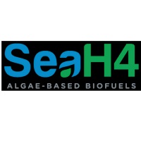 SeaH4 at Solar & Storage Live Cape Town 2025