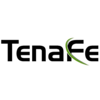 TenaFe at Future of Memory and Storage 2026