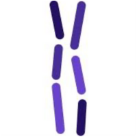 Chromatin Bioscience at Advanced Therapies 2025